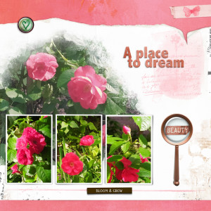 A place to dream