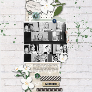 the Magnolias