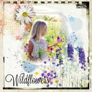 Wildflowers