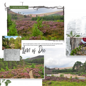 Linn Of DEE Lilypad