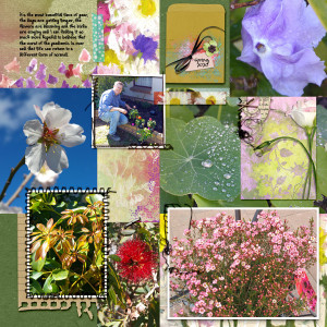 SpringSprung
