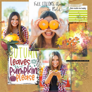 Pumpkin Patch