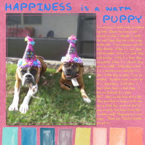 Journal-Ch-Happiness-happiness4