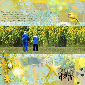 Sunflowers