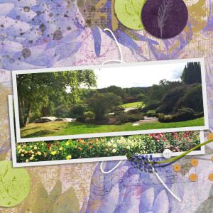 Botanical garden right side