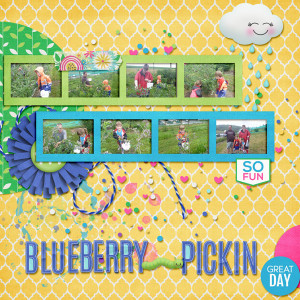 Blueberry Picking