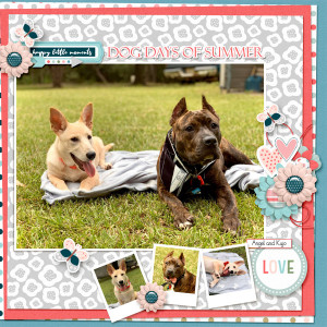 Dog-Days-of-Summer