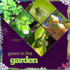 Random_greeninthegarden