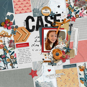 new case