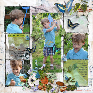 2013-Connor-the-Lepidopterist