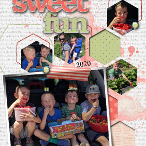 Sweet Summer Fun