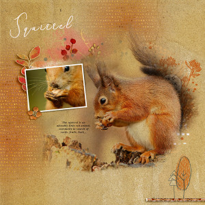 Squirrel