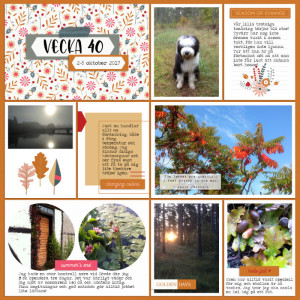 Week 40 2017