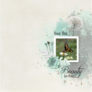 See-the-Beauty