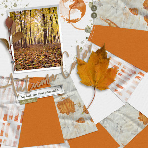 Autumn Color