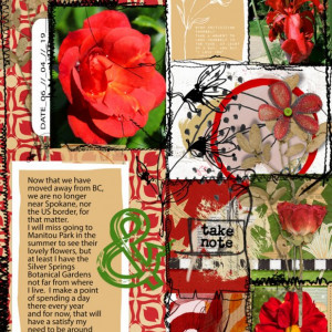 Summer Flowers