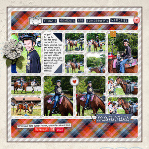 2019 Sept Matthew Horse