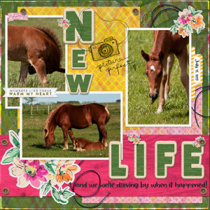 New Life