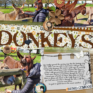 Donkeys
