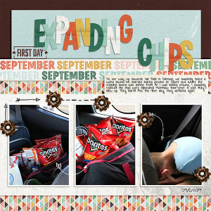 2019-Sept-Exploding-Chips