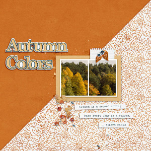 Autumn Colors