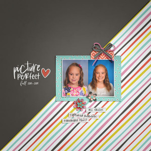2019_Picture Perfect Copy
