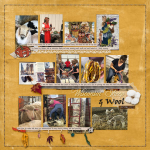 WI-Sheep-and-Wool-Festival-2019