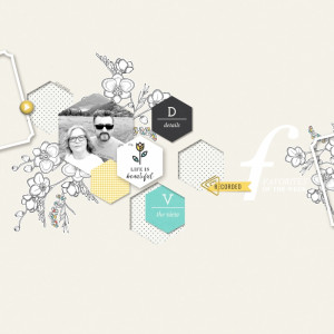 Favorites Of The Week