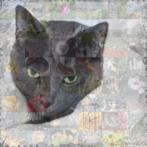 September Mosaic Photo Challenge