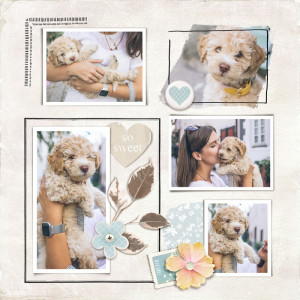 Lynn Grieveson Template Challenge August 2020