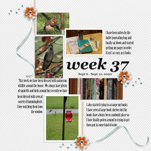 Week-37