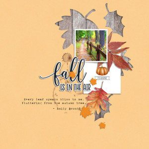 fall is in the air