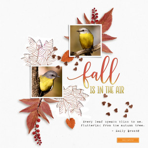 Fall is in the air