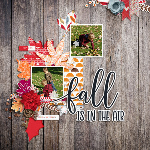 Fall is in the air