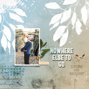 Explore our Backyard