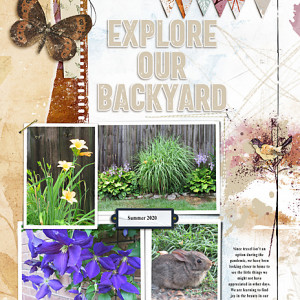 I-Wander_Backyard_flowersgal_web