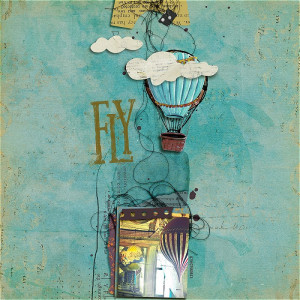 Fly