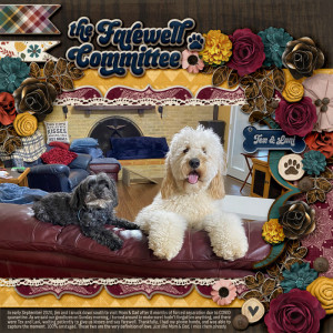 The Farewell Committee (Photography Challenge Sept 2020)