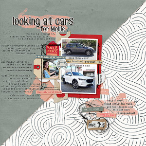looking at cars for Mollie