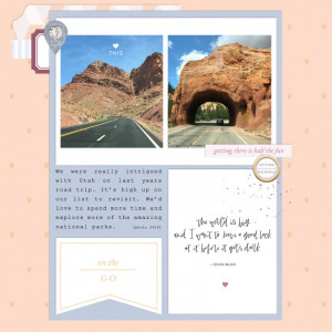 Tourist | Sahin Designs