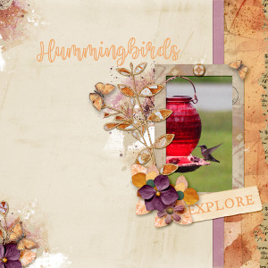 Hummingbirds