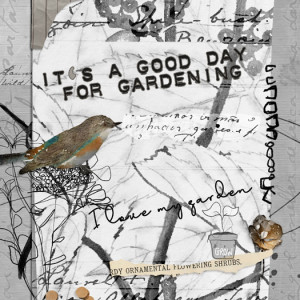 It's a Good Day for Gardening