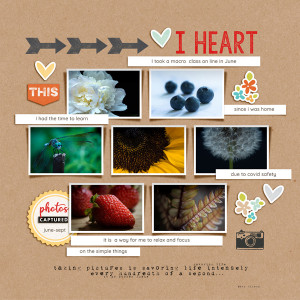 2020-9-21-macro-_600web