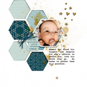 LittleThings_Hexagons7_flowersgal_web