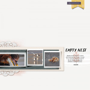 Empty Nest Nov 18