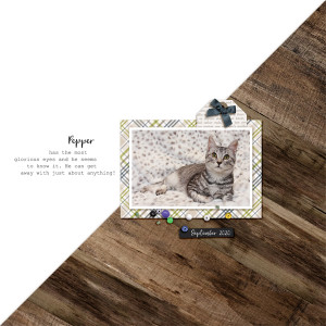 TemplateChall_Sep2020