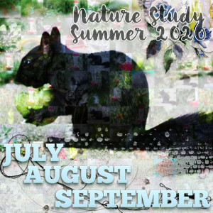 Front Cover - Nature Study - Summer 2020 Album