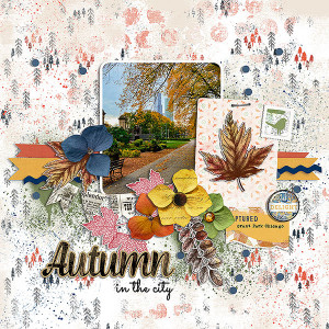 autumn in the city