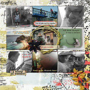 39-week-27-mix-of-photos-copy