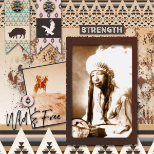 Ojibwa Tribal Chief